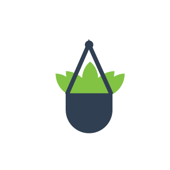 Hanging Plant