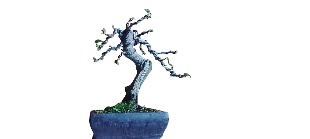 Bonsai hibiscus (Risman Arisandi)