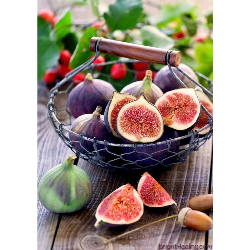 Fig Tree (Ficus carica) – Sweet & Nutritious Fruit Plant for Home Garden