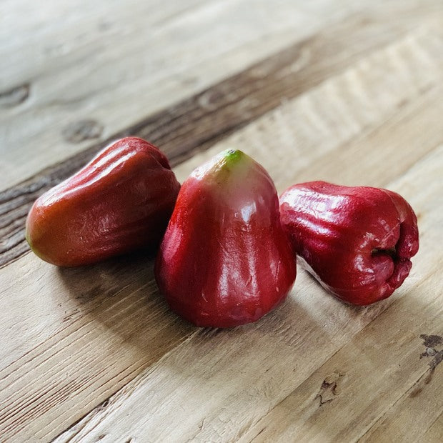 Sindo - Water Sugar Rose Apple Exploring the Richness of Water Sugar Rose Apple Saplings