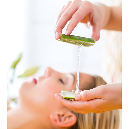 Sindo - Aloe Vera Plant for Face, Skin, and Hair Beauty