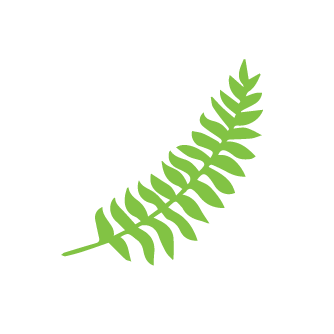 Fern